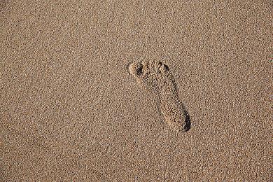 传闻：《赤痕：夜之仪式2》将于2025年发售 登陆Switch 2